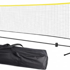 net badminton volleyball pickleball